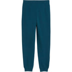Puma ESS 2 Color No. 1 Logo Turquoise Kids' Pants 685824 36