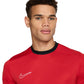 Nike Academy 25 SS Top M FZ9754 657 Clothing/Football Nike