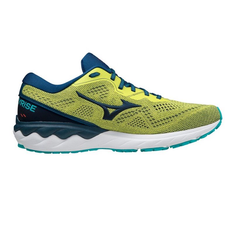 Mizuno Wave Skyrise 2 M J1GC210984 shoes Footwear/Running/Men Mizuno