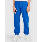 Boys' sweatpants 4F 4FJWAW26TTROM1759-36S