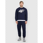 Men's sweatshirt without zipper and hood 4F 4FRMM00TSWSM2479-31S 4f
