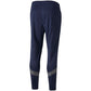 Pants Puma teamFinal Training M 657380 06 Clothing/Training Puma