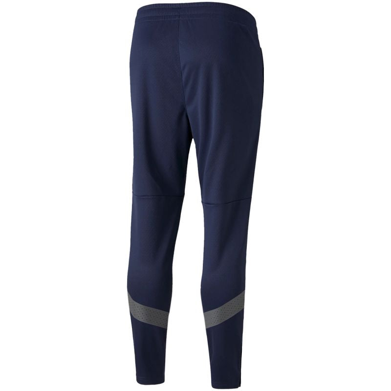 Pants Puma teamFinal Training M 657380 06 Clothing/Training Puma