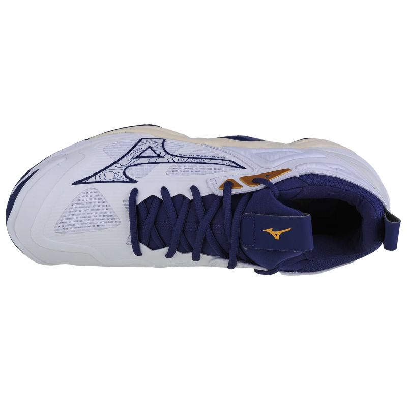 Mizuno Wave Momentum 3 M V1GA231243 shoes Footwear/Volleyball/Men Mizuno