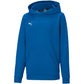 Puma teamGOAL 23 Casuals Hoody Jr 656711 02 Clothing/Running Puma