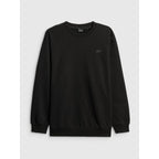Men's regular sweatshirt without hood 4F 4FRMM00TSWSM3059-20S
