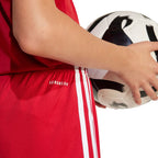 Shorts adidas Squadra 25 Jr JN5456 Clothing/Football Adidas