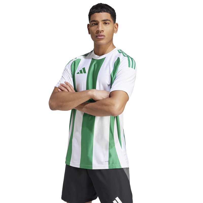 Adidas Striped 24 JSY M T-shirt IW2148 Clothing/Football Adidas