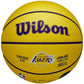 Wilson NBA Player Icon LeBron James Mini Ball Basketball WZ4027701XB Accessories/Balls/Basketball Your Sports Performance