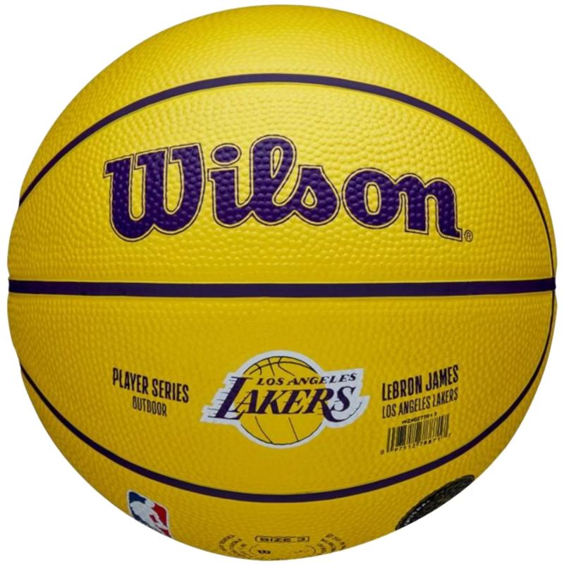 Wilson NBA Player Icon LeBron James Mini Ball Basketball WZ4027701XB Accessories/Balls/Basketball Your Sports Performance