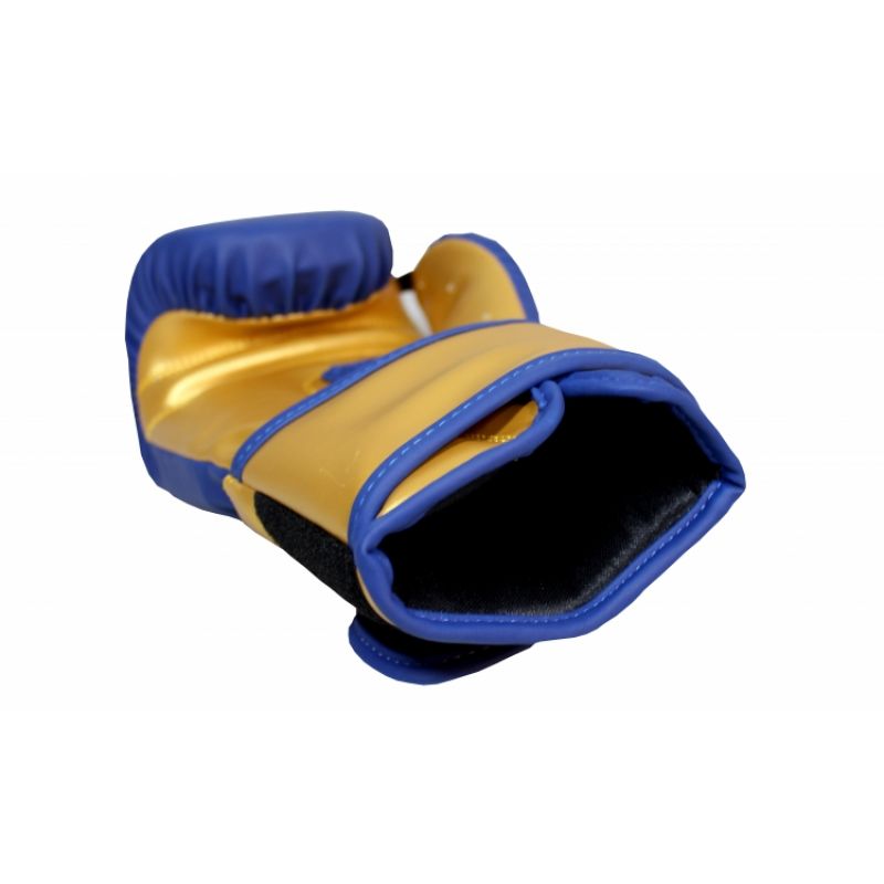 Masters Boxing Gloves RPU-COLOR/GOLD 10 oz 01439-0210 Accessories/Gloves Your Sports Performance