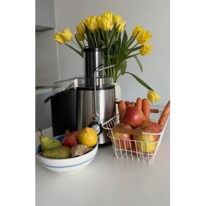 MPM MSO-18M 1000W juicer with steel mesh filter AGD - Produkty/Sokowirówki Your Sports Performance