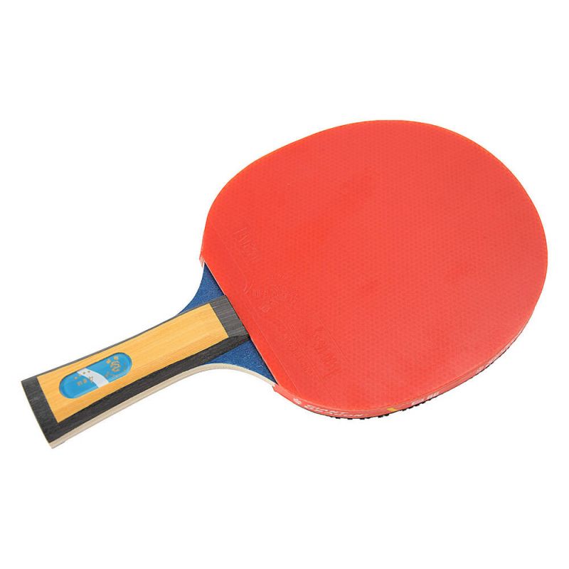Giant Dragon 4★ N8042 Table Tennis Racket Accessories/Rackets and accessories Your Sports Performance