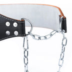 DBX-WB2 GENUINE LEATHER DIP BELT Pasy obciążeniowe - Dip Belt Your Sports Performance