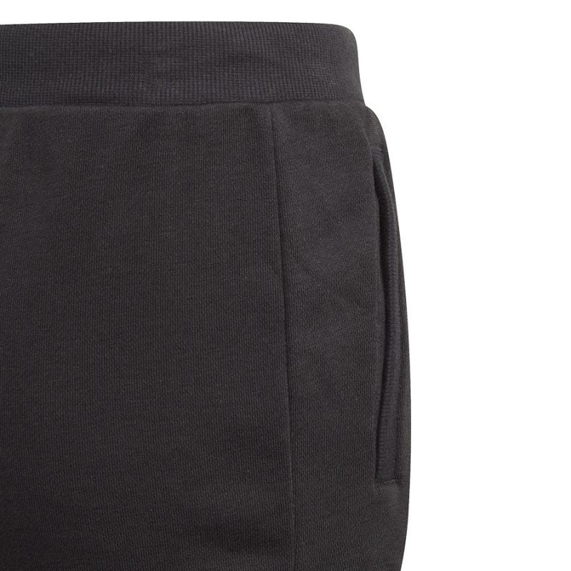Pants adidas BL FT O PT Jr GN4064 Clothing/Training Adidas