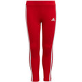 Adidas Essentials 3-Stripes Jr leggings HF1898 Clothing/Lifestyle/Trousers, shorts Adidas