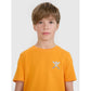 Boy's regular printed T-shirt 4F 4FJRSS25TTSHM2642-70S *Kategoria tymczasowa Your Sports Performance