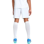 Puma Team Goal men's shorts white 705752 04 Puma