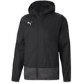 Puma teamGOAL 23 Training M 656559 03 Clothing/Outdoor Puma