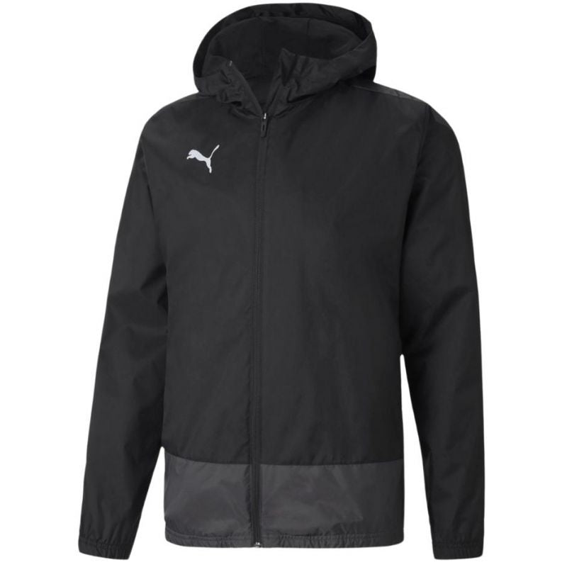 Puma teamGOAL 23 Training M 656559 03 Clothing/Outdoor Puma