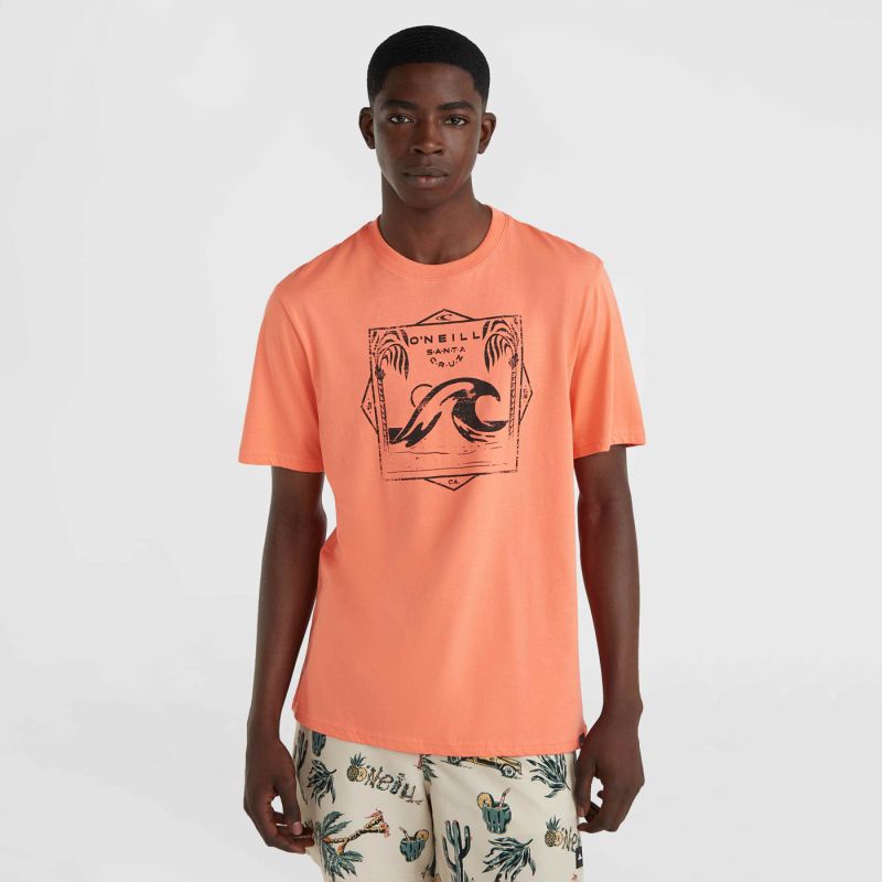 O'Neill Mix & Match Wave T-Shirt M 92800613917 ONeill
