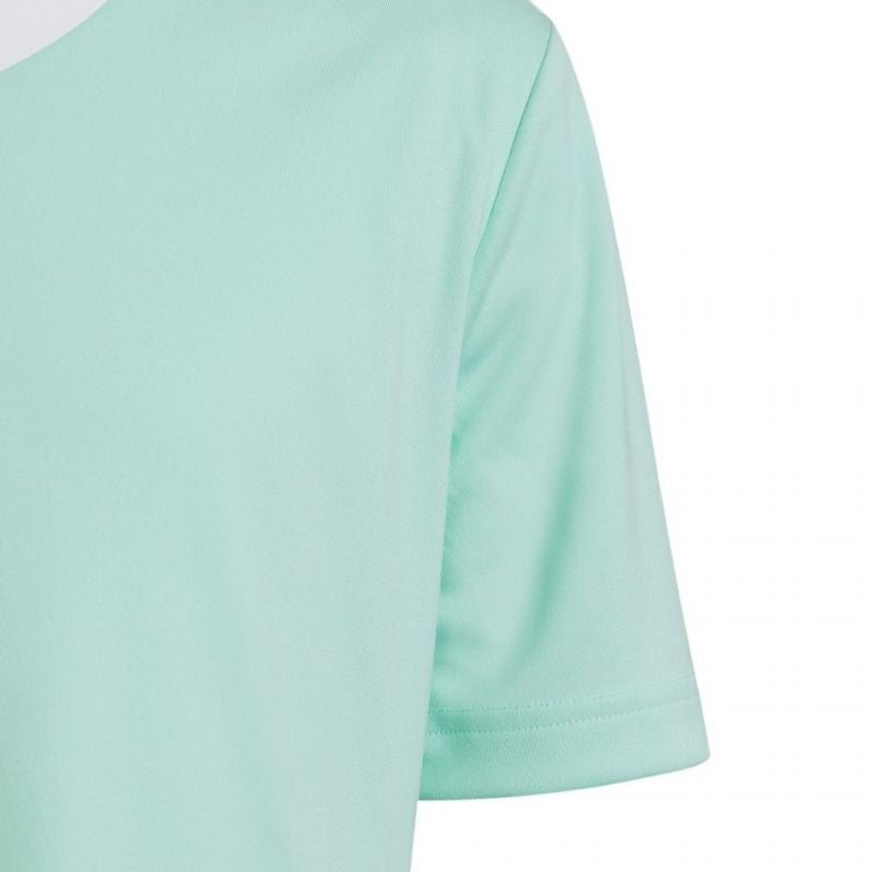 Tee adidas Entrada 22 Jersey Jr HC5078 Clothing/Training Adidas