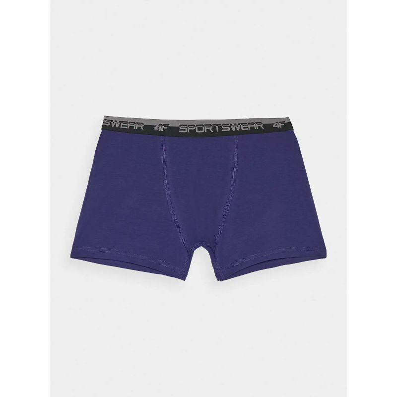 4F M 4FWMM00UBXSM051-31S boxer shorts Clothing/Lifestyle/4F 4F
