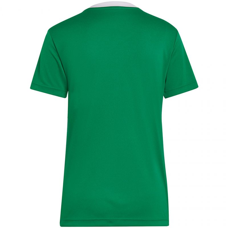 T-shirt adidas Entrada 22 Jersey W HI2124 Clothing/Football Adidas
