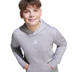 adidas Essentials Hoodie for kids gray JV9995 To be categorized Your Sports Performance