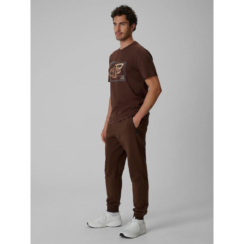 Men's jogger sweatpants 4F 4FRSS26TTROM2110-81S