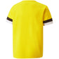 T-shirt Puma teamRise Jersey Jr. 704938 07 Clothing/Training Puma