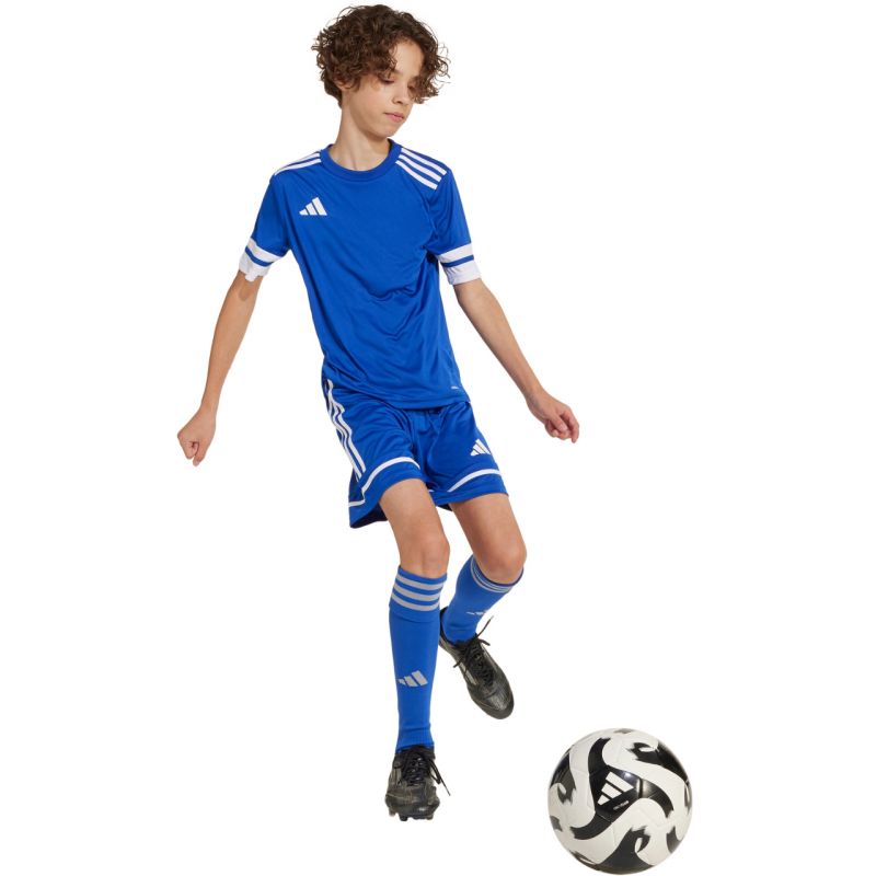 Shorts adidas Squadra 25 Jr JN5455 Clothing/Football Adidas