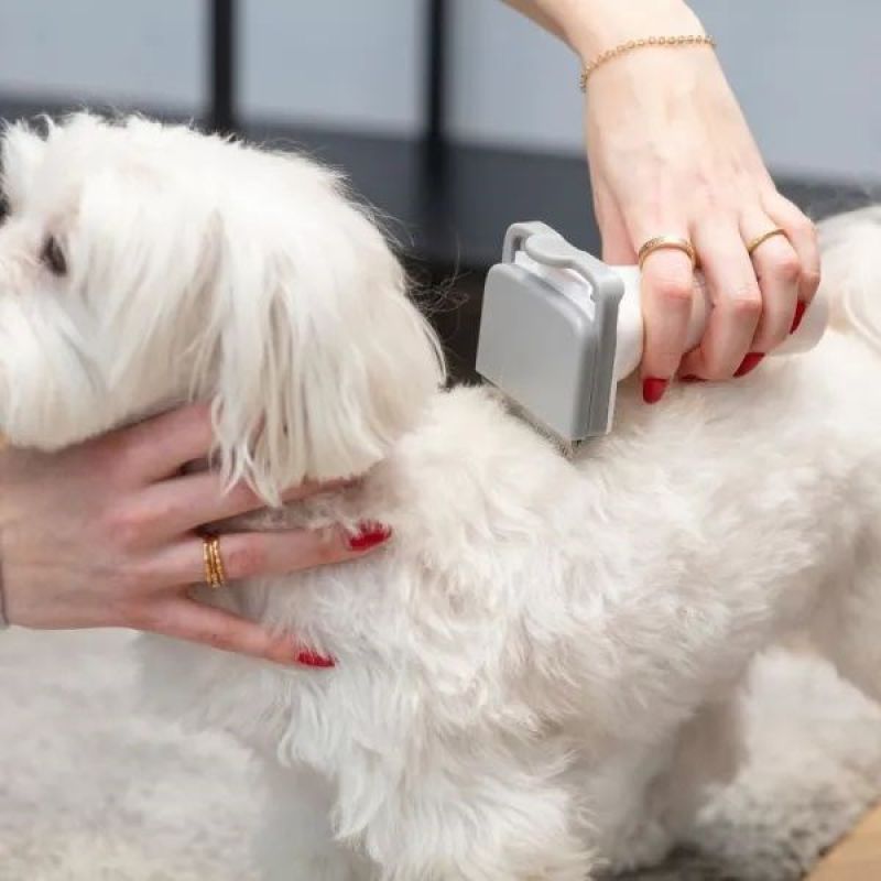 MPM MOD-1000 device for home care of dogs and cats AGD - Produkty/Odkurzacze Your Sports Performance