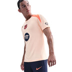 Nike FC Barcelona Strike 3rd T-shirt HM3344-808 Nike
