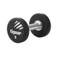 Tiguar dumbbell TI-WHPU0050 Accessories/Training equipment Your Sports Performance