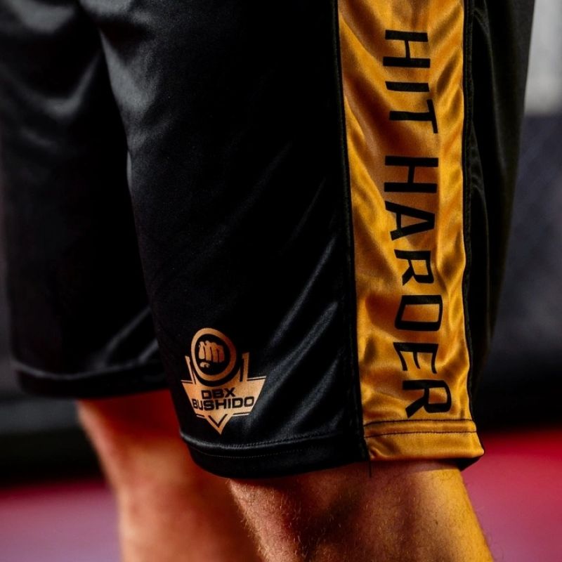 GOLD training boxing shorts Stroje bokserskie Your Sports Performance