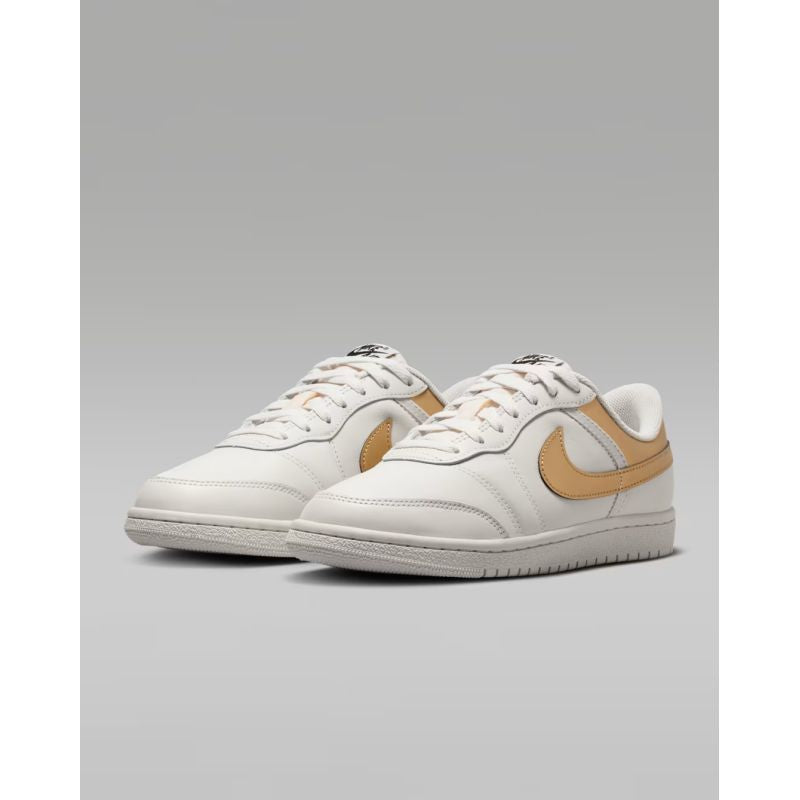 NIKE WMNS AIR JORDAN SKYLINE LOW LE women's shoes (IQ6586-100)