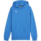 Puma Team Goal Casuals Hoddy Jr sweatshirt 658619 02 Clothing/Training Puma
