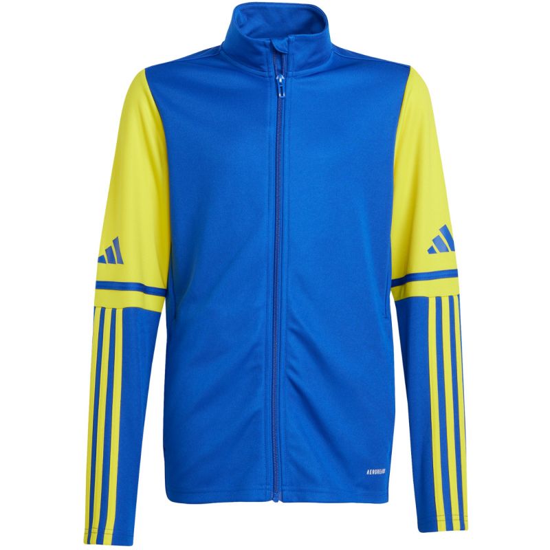 Adidas Squadra 25 Training Jr JP3150 sweatshirt Clothing/Football Adidas