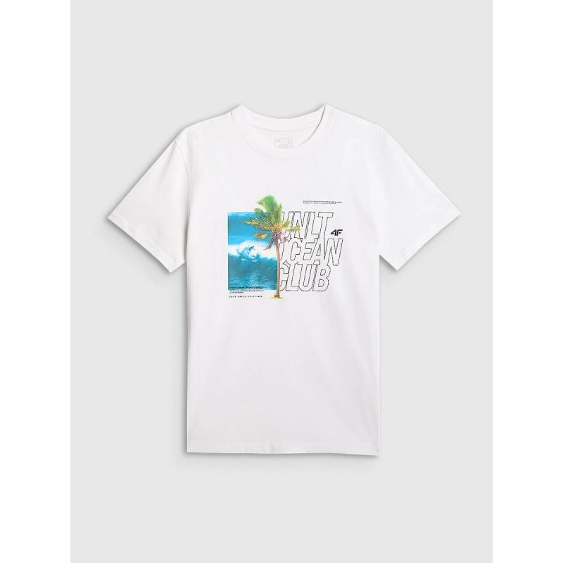 Men's regular printed T-shirt 4F 4FRSS26TTSHM4303-10S 4f