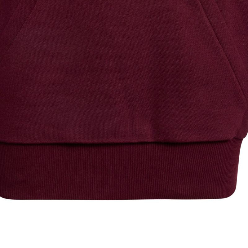 adidas Essentials Hoodie for kids, burgundy KT3380