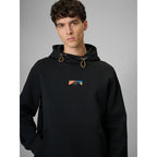 Men's regular hooded sweatshirt 4F 4FRSS26TSWSM2894-20S 4f