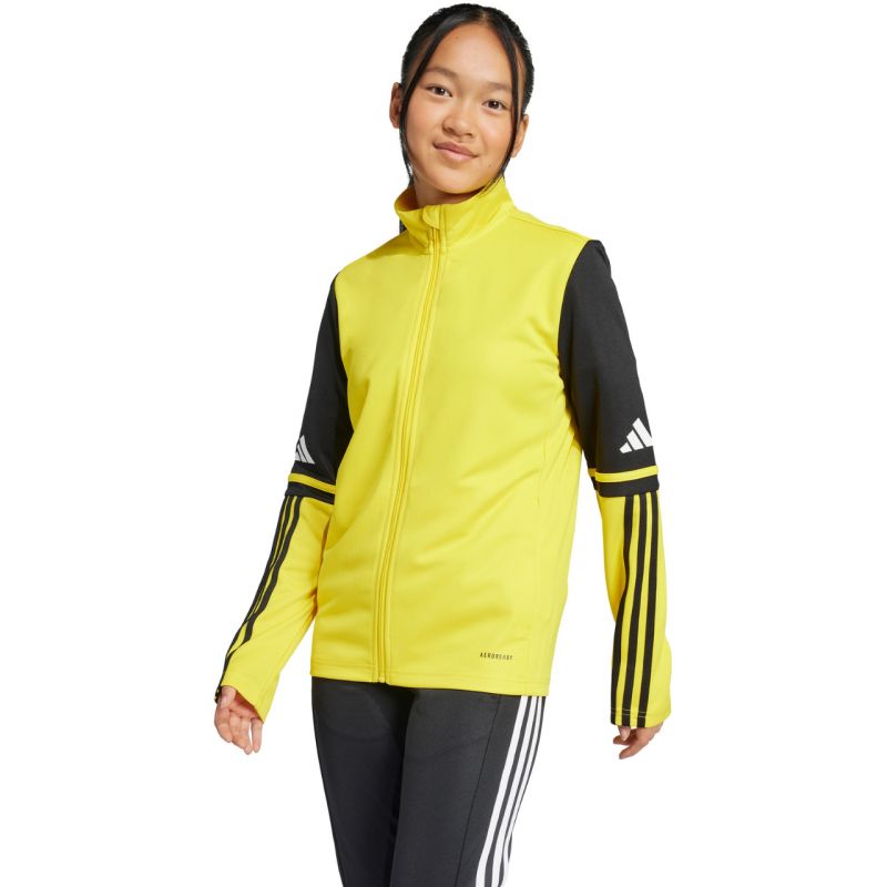 Adidas Squadra 25 Training Jr JP3395 sweatshirt Clothing/Football Adidas