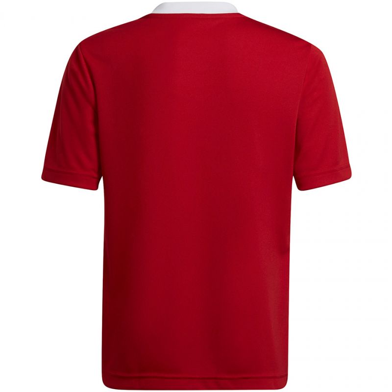 T-shirt adidas Entrada 22 Jsy Jr H57496 Clothing/Football Adidas