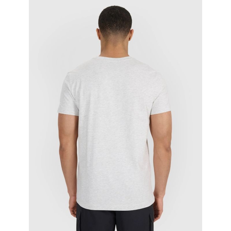 Men's regular printed T-shirt 4F 4FRSS25TTSHM2980-27M 4f