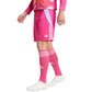 Adidas Tiro 24 M IT2417 shorts Clothing/Football Adidas