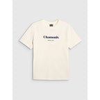 Women's loose T-shirt with print 4F 4FRAW25TTSHF3409-12S 4f