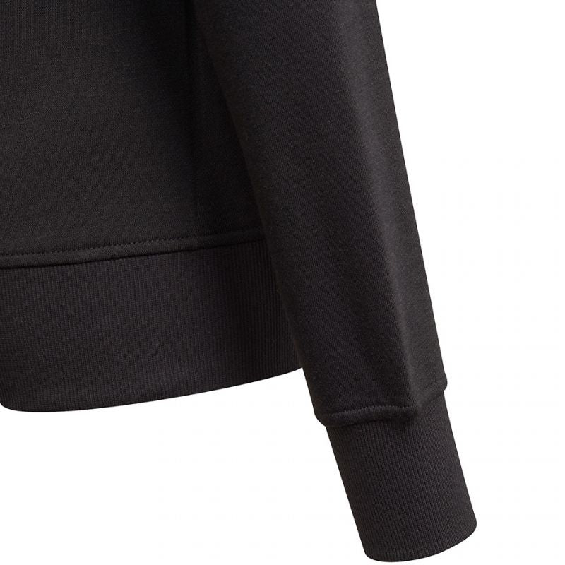 Sweatshirt adidas Essentials Big Logo Jr GP0040 Clothing/Lifestyle Adidas