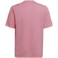 Adidas Entrada 22 Graphic Jersey Jr HC2632 Clothing/Training Adidas