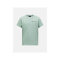 PEAK PERFORMANCE Jr Original Small Logo Tee, green